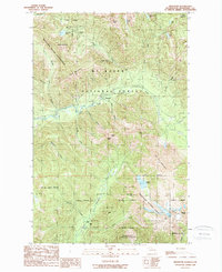 Silverton 1989 topographic map preview