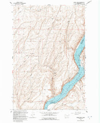 Snake River 1991 topographic map thumbnail