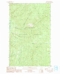 Spur Peak 1991 topographic map thumbnail