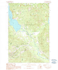 Stampede Pass 1989 topographic map thumbnail