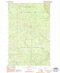 Strawberry Mountain 1989 topographic map thumbnail