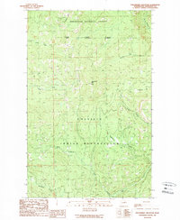 Strawberry Mountain 1989 topographic map thumbnail