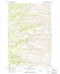 Stray Gulch 1966 topographic map thumbnail