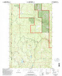 Swan Lake 1992 topographic map thumbnail