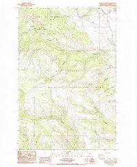 Taneum Canyon 1985 topographic map thumbnail