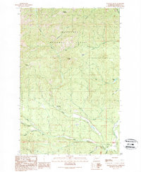 Teanaway 1989 topographic map thumbnail