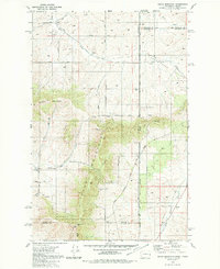 Tekoa Mountain 1980 topographic map thumbnail