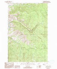 Thrapp Mtn 1989 topographic map thumbnail