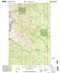 Thrapp Mtn 2001 topographic map thumbnail