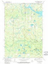 Thunder Mountain 1972 topographic map thumbnail