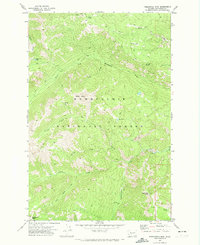 Timberwolf Mtn. 1971 topographic map preview