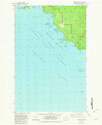 Toleak Point 1982 topographic map thumbnail