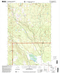 Trout Lake 1998 topographic map thumbnail