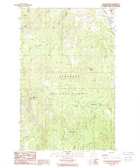 Tunk Mountain 1988 topographic map thumbnail