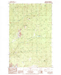 Turtle Lake 1985 topographic map thumbnail