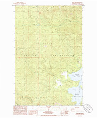 Twin Lakes 1985 topographic map thumbnail