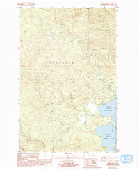 Twin Lakes 1985 topographic map thumbnail