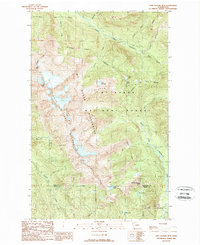 Twin Sisters Mtn. 1989 topographic map thumbnail