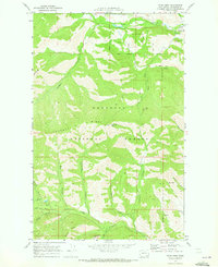 Twisp West 1969 topographic map thumbnail