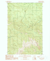 Tyler Peak 1990 topographic map thumbnail