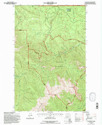 Tyler Peak 1995 topographic map thumbnail