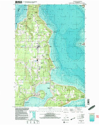 Vashon 1997 topographic map preview