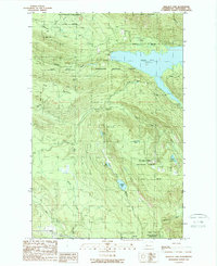 Wallace Lake 1989 topographic map thumbnail