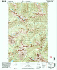 Washington Pass 2002 topographic map thumbnail