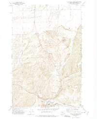 Washtucna North 1972 topographic map thumbnail