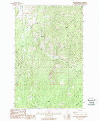 Wauconda Summit 1988 topographic map thumbnail