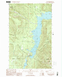 Welker Peak 1989 topographic map thumbnail