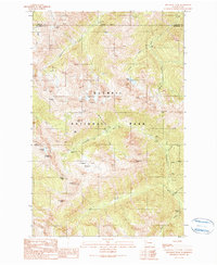 Wellesley Peak 1990 topographic map thumbnail