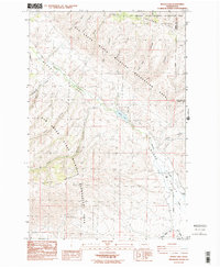Wenas Lake 1985 topographic map thumbnail