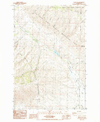 Wenas Lake 1985 topographic map thumbnail