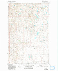 White Lakes 1980 topographic map thumbnail