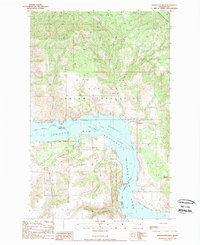 Whitestone Rock 1989 topographic map thumbnail