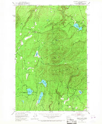 Wildcat Lake 1953 topographic map thumbnail