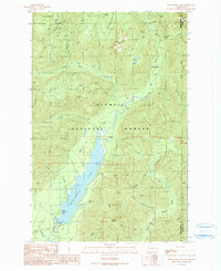 Wynoochee Lake 1990 topographic map thumbnail