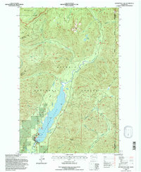 Wynoochee Lake 1995 topographic map preview