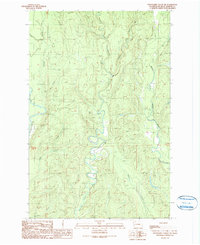 Wynoochee Valley NE 1990 topographic map preview
