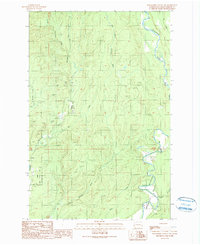 Wynoochee Valley NW 1990 topographic map thumbnail
