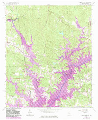 Abbottsford 1964 topographic map thumbnail