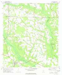 Alapaha 1977 topographic map thumbnail