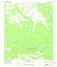 Altamaha 1970 topographic map thumbnail