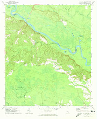 Altamaha SE 1970 topographic map thumbnail