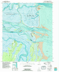 Altamaha Sound 1993 topographic map thumbnail