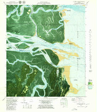 Altamaha Sound 1979 topographic map thumbnail