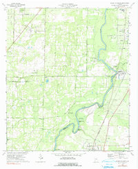 Baconton North 1974 topographic map thumbnail
