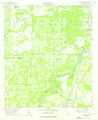 Baconton North 1974 topographic map thumbnail