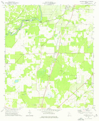 Baconton South 1974 topographic map thumbnail
